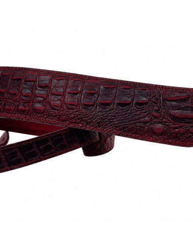 Alligator