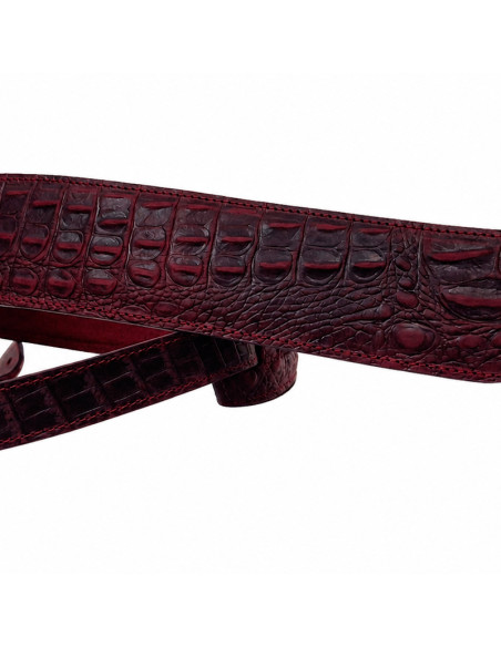 Alligator