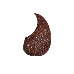 Pickguard "Tear" guitarra...